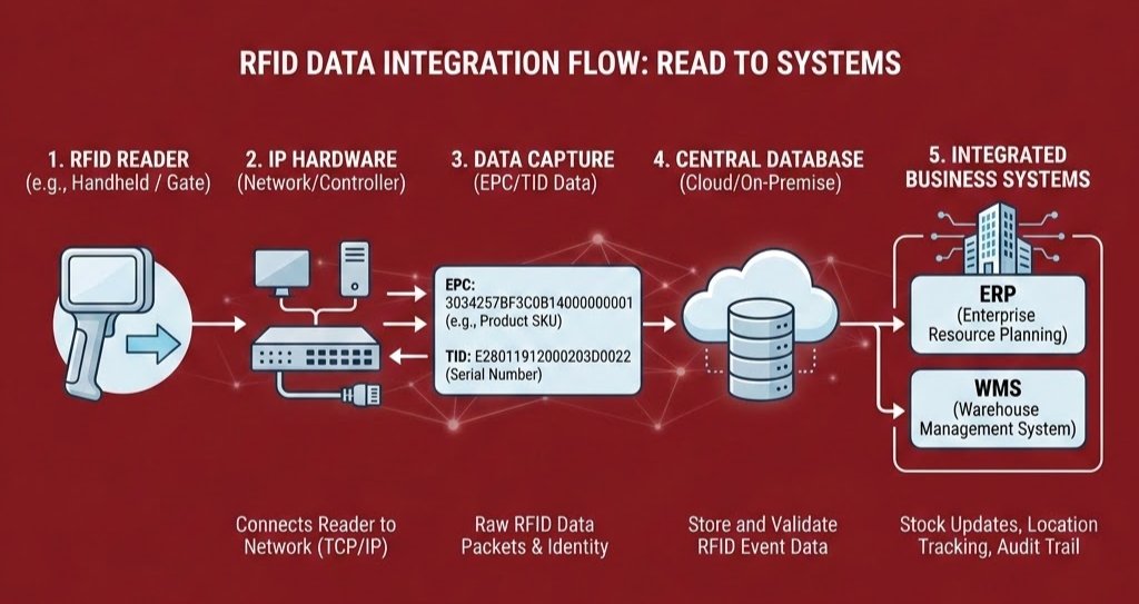 Diagram alur integrasi data RFID berlatar merah: reader, hardware IP, capture EPC/TID, database cloud, lalu ERP dan WMS.