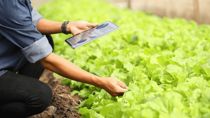 Smart Agriculture using RFID